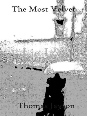cover image of Lie Low